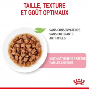 Cat Kitten Royal Canin Emincé En Sauce Sachet Repas Meilleur Prix Garanti 21