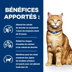 Top ventes HILL’S Pet Nutrition C/D Urinary Multicare Sachet Repas Pour Chat Poulet 16