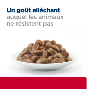 HILL’S Pet Nutrition C/D Urinary Stress Multicare Sachet Repas Pour Chat Saumon soldes en ligne 20
