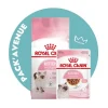 Large choix en ligne Pack’Avenue Royal Canin CAT KITTEN 10KG Avec Sauce En Sachet Repas 7